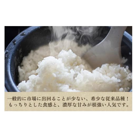 ふるさと納税 無洗米 新潟県 加茂市 令和7年産 定期便5ヶ月毎月お届け 老舗米穀店が厳選 新潟県加茂市産コシヒカリ「七谷米」無洗米 4kg（2kg×2）〈順次出荷…