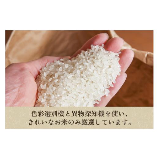 ふるさと納税 無洗米 新潟県 加茂市 令和7年産 定期便5ヶ月毎月お届け 老舗米穀店が厳選 新潟県加茂市産コシヒカリ「七谷米」無洗米 4kg（2kg×2）〈順次出荷…