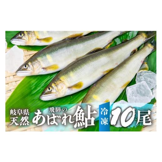 ふるさと納税 川魚 あゆ 岐阜県 飛騨市 2025年産 飛騨 天然鮎 中サイズ 10尾 天然 アユ 鮎 選べる内容量 岐阜県 室田名人 宮川下流 飛騨のあばれ鮎 高級料亭御…