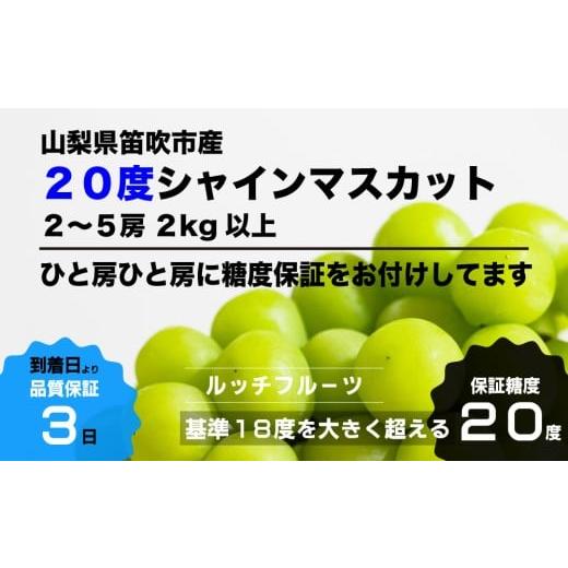 ふるさと納税 ぶどう マスカット 山梨県 笛吹市 2026年発送 全房糖度20度保証付 シャインマスカット 約2kg 2〜5房／日テレ「ZIP 」TBS「ひるおび」にて紹介 美…の画像