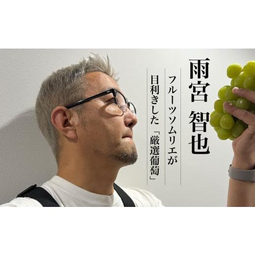ふるさと納税 ぶどう マスカット 山梨県 笛吹市 2026年発送 全房糖度20度保証付 シャインマスカット 約2kg 2〜5房／日テレ「ZIP 」TBS「ひるおび」にて紹介 美…の画像