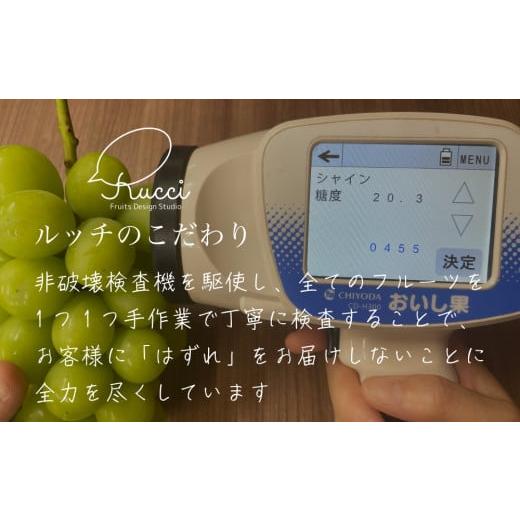 ふるさと納税 ぶどう マスカット 山梨県 笛吹市 2026年発送 全房糖度20度保証付 シャインマスカット 約2kg 2〜5房／日テレ「ZIP 」TBS「ひるおび」にて紹介 美…の画像
