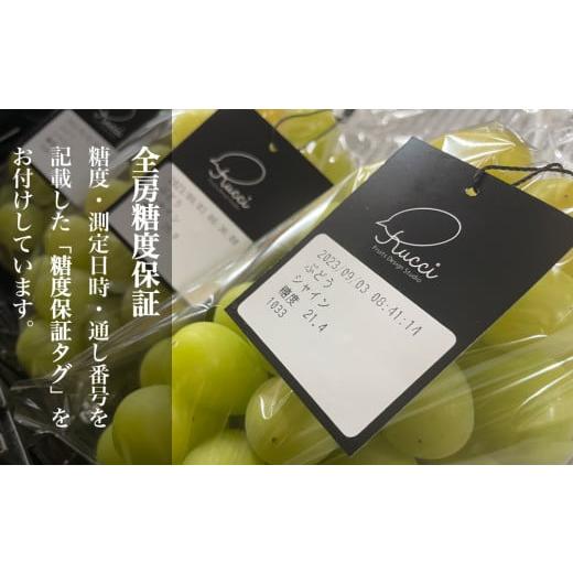 ふるさと納税 ぶどう マスカット 山梨県 笛吹市 2026年発送 全房糖度20度保証付 シャインマスカット 約2kg 2〜5房／日テレ「ZIP 」TBS「ひるおび」にて紹介 美…の画像