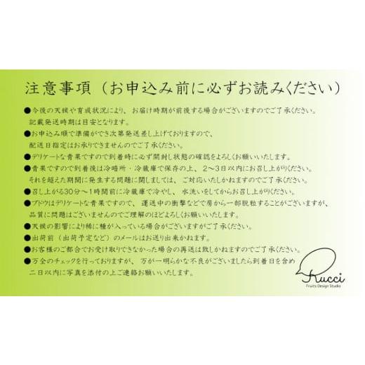 ふるさと納税 ぶどう マスカット 山梨県 笛吹市 2026年発送 全房糖度20度保証付 シャインマスカット 約2kg 2〜5房／日テレ「ZIP 」TBS「ひるおび」にて紹介 美…の画像