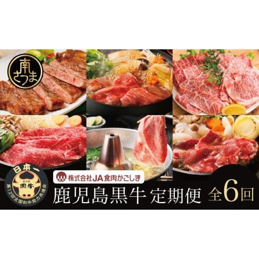ふるさと納税 牛肉 ステーキ 鹿児島県 南さつま市 JA食肉かごしま 鹿児島黒牛 定期便(全6回) かごしまブランド 黒毛和牛 和牛 牛肉 お肉 霜降り 赤身 ステ…