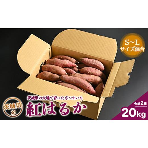 ふるさと納税 野菜類 サツマイモ 茨城県 土浦市 生芋 20kg S〜Lサイズ混合 2箱 いも長 ｜ さつまいも いも 生いも 紅はるか 国産 離島への配送不可の画像