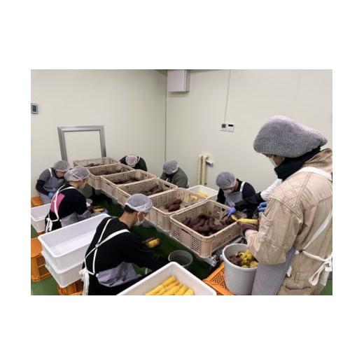 ふるさと納税 野菜類 サツマイモ 茨城県 土浦市 生芋 20kg S〜Lサイズ混合 2箱 いも長 ｜ さつまいも いも 生いも 紅はるか 国産 離島への配送不可の画像