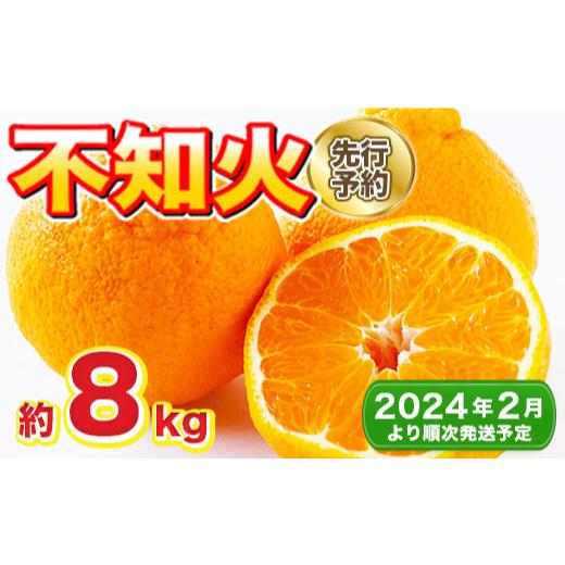 ふるさと納税 果物類 みかん 佐賀県 吉野ヶ里町 2月以降順次発送 不知火 約8kg 18〜28玉