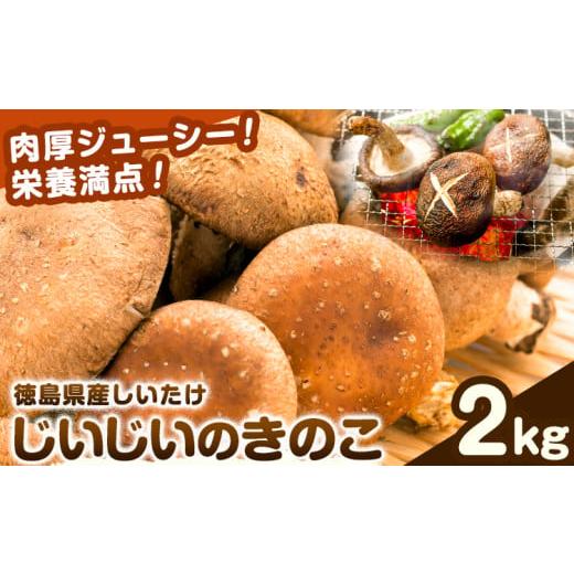 ふるさと納税 野菜類 きのこ 徳島県 美馬市 じいじいのきのこ 2kg しいたけ[30日以内に出荷予定(土日祝除く)]一般社団法人美馬観光ビューロー 徳島県 美馬市…