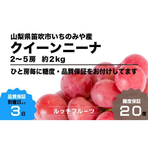 ふるさと納税 ぶどう 山梨県 笛吹市 2026年発送 全房糖度20度保証付 クイーンニーナ 約2kg 2〜5房 希少品種 ルッチスタッフいち推し 人気急上昇中 ／日テレ「Z…の画像