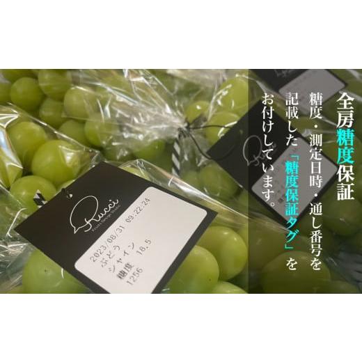 ふるさと納税 ぶどう 山梨県 笛吹市 2026年発送 全房糖度20度保証付 クイーンニーナ 約2kg 2〜5房 希少品種 ルッチスタッフいち推し 人気急上昇中 ／日テレ「Z…の画像