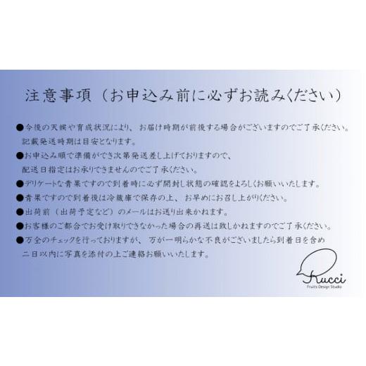 ふるさと納税 ぶどう 山梨県 笛吹市 2026年発送 全房糖度20度保証付 クイーンニーナ 約2kg 2〜5房 希少品種 ルッチスタッフいち推し 人気急上昇中 ／日テレ「Z…の画像