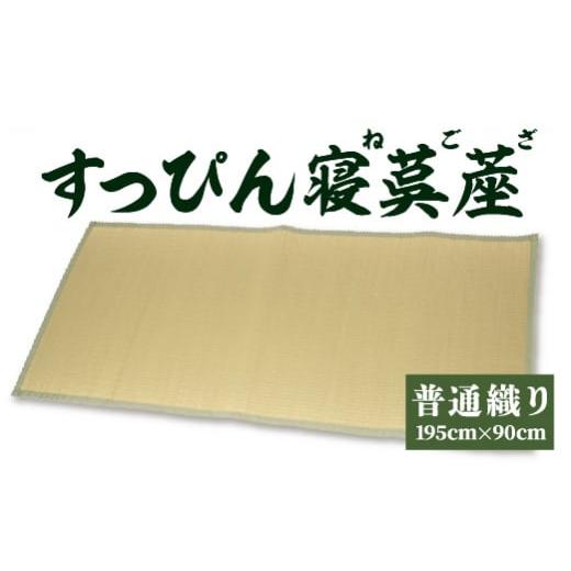 ふるさと納税 熊本県 八代市 [青]すっぴん寝茣蓙 普通織り 195cm×90cm ねござ 熊本県産 [青]