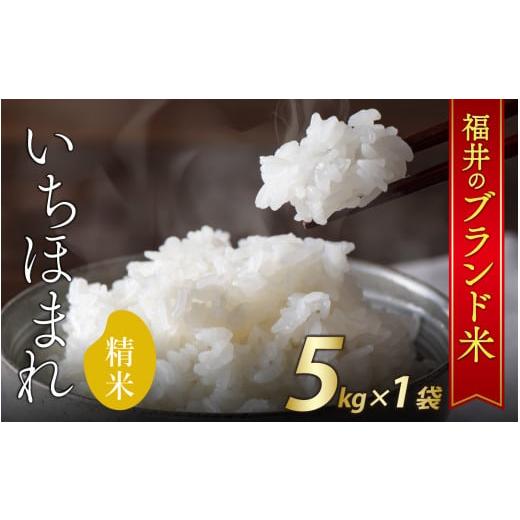 ふるさと納税 米 福井県 福井市 令和7年産 新米 福井県産いちほまれ 5kg A-030009 / ブランド ブランド米 米 お米 コメ いちほまれ 送料無料 数量限定 在庫あ…