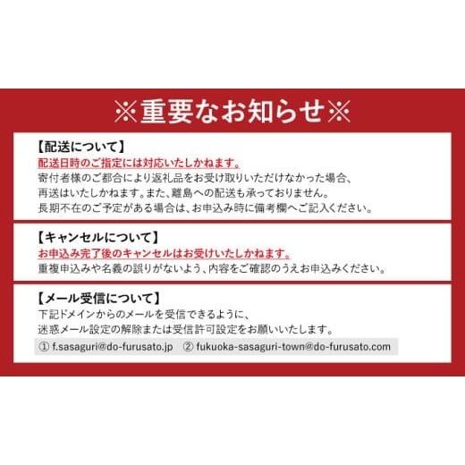 ふるさと納税 スポーツ・アウトドア 福岡県 篠栗町  ボウケンノモリささぐり アスレチック体験+宿泊（素泊り）セット 4名分 ZZ006の画像