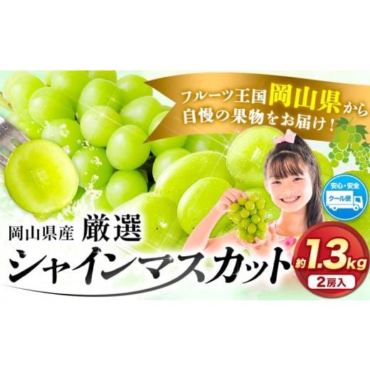ふるさと納税 ぶどう マスカット 岡山県 浅口市 2026年先行予約 シャインマスカット 厳選 訳あり シャインマスカット 約 1.3kg 2房 [2026年 9月上旬-11月上…