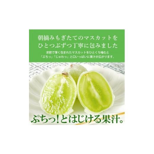 ふるさと納税 和菓子 もち菓子 広島県 三原市  先行受付 ひとつぶの シャインマスカット 選べる個数 6個入 8月頃〜順次発送予定 好評にて夏の定番商品化決定 …_2