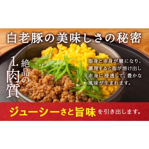 ふるさと納税 豚肉 北海道 白老町 定期便 12カ月 北海道産 白老豚 挽肉 300g×10パック_2