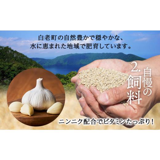 ふるさと納税 豚肉 北海道 白老町 定期便 12カ月 北海道産 白老豚 挽肉 300g×10パック_3
