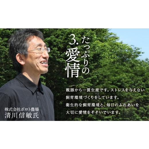 ふるさと納税 豚肉 北海道 白老町 定期便 12カ月 北海道産 白老豚 挽肉 300g×10パック_4