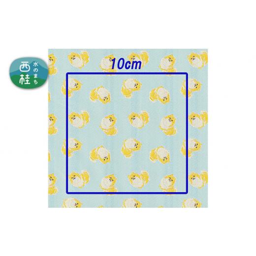 ふるさと納税 雑貨・日用品 山梨県 西桂町 No.457-03 iruyo ポリエステル生地 ポメラニアン柄(ペールブルー) / 手芸用生地 ジャカード織 撥水コーティン…