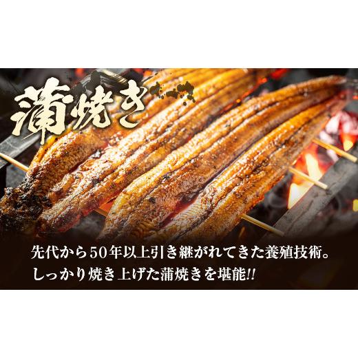 ふるさと納税 宮崎県 新富町 青木水産のうなぎ蒲焼き 3尾（150〜180g／1尾あたり） 有頭 宮崎県産【D134】 3尾 180g／1尾あたり