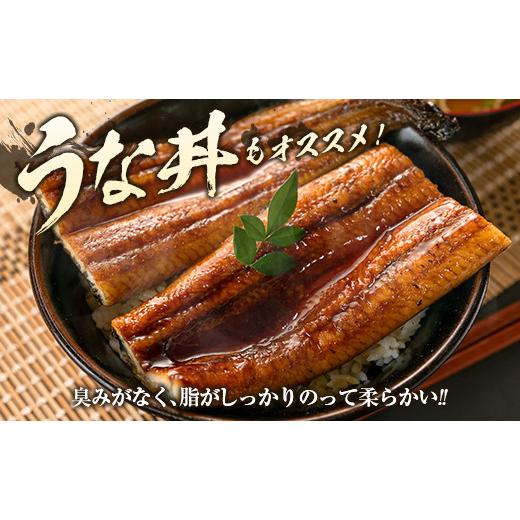 ふるさと納税 宮崎県 新富町 青木水産のうなぎ蒲焼き 3尾（150〜180g／1尾あたり） 有頭 宮崎県産【D134】 3尾 180g／1尾あたり