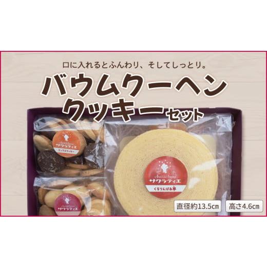 ふるさと納税 京都府 綾部市 バウムクーヘンホール高さ4.6cm×1個 &amp; クッキー150g×2袋セット[ バームクーヘン 個包装 お菓子 スイーツ デザート 菓子 焼…