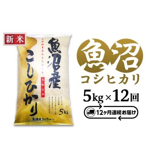 ふるさと納税 米 コシヒカリ 新潟県 長岡市 C2-7K05ZC 12ヶ月連続お届け 新潟県魚沼産コシヒカリ5kg(長岡川口地域)