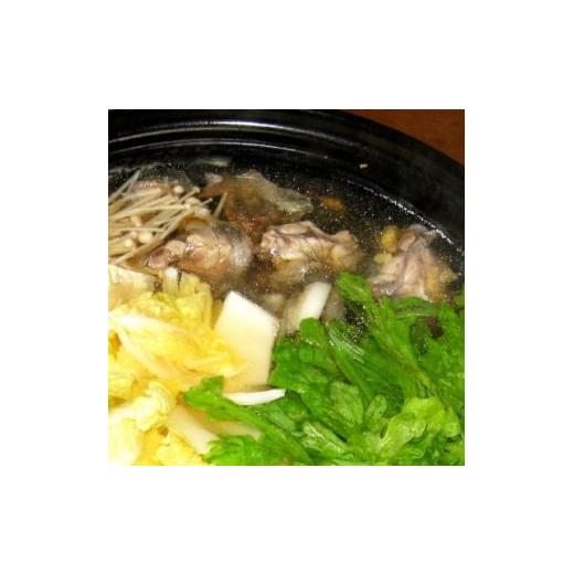 ふるさと納税 魚貝類 福岡県 糸田町 加工済みスッポンハーフサイズ2個セット(オスメス) (冷凍)各400g