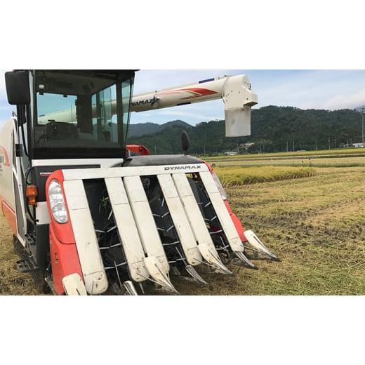 ふるさと納税 米 福井県 若狭町 令和7年産 福井県若狭町 つきあかり （一等米） 20kg（神谷農園） 5kg×4袋 お米 ブランド米 銘柄米 ご飯 おにぎり お弁当 産…の画像