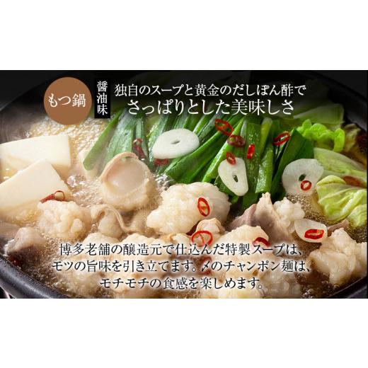 ふるさと納税 鍋セット 福岡県 田川市 黄金のだしぽん酢で食べる。厳選国産牛博多もつ鍋大満足セット醤油味(4〜6人前)_3