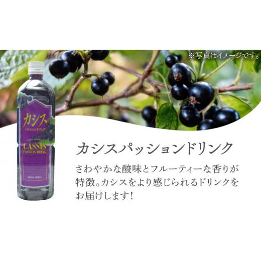 ふるさと納税 果汁飲料 福岡県 豊前市  全3回定期便 カシス パッション ドリンク 6本 セット《豊前市》 ハウスボトラーズ VAX019 カシス パッション ドリンク …_2