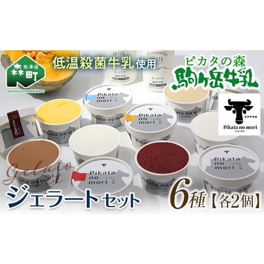 ふるさと納税 アイス・ヨーグルト ジェラート 北海道 森町 御礼 駒ヶ岳牛乳 ジェラート12個セット(各2個×6種) ピカタの森 駒ケ岳牛乳 低温殺菌 ノンホモ牛…