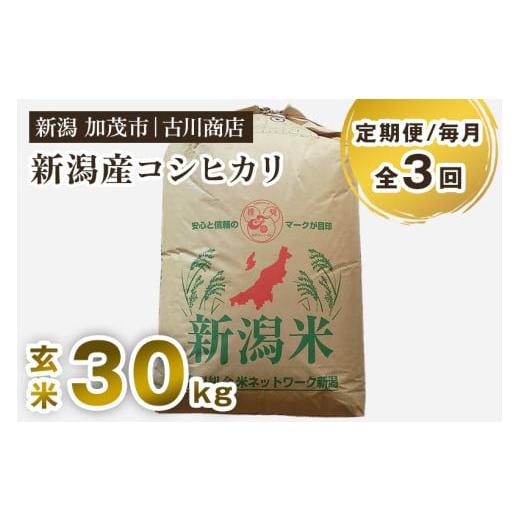 ふるさと納税 米 コシヒカリ 新潟県 加茂市 令和7年産新米 定期便3回毎月お届け 新潟県加茂市産コシヒカリ 玄米 30kg [順次発送] お米 米 お米の専門店 古…