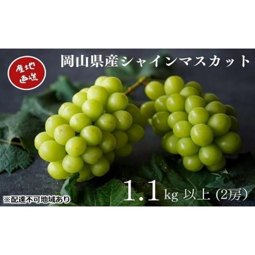 ふるさと納税 ぶどう マスカット 岡山県 里庄町 厳選 シャインマスカット 2房 合計1.1kg以上 産地直送 朝採れ ぶどう 葡萄 Kawahara Green Farm 岡山県産 2026…