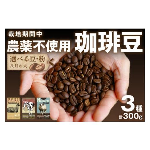 ふるさと納税 コーヒー コーヒー豆 京都府 京丹後市 栽培期間中農薬不使用 自家焙煎コーヒー豆 お試しセット(100gx3種) 豆の挽き方:粗挽き 八月の犬 珈…