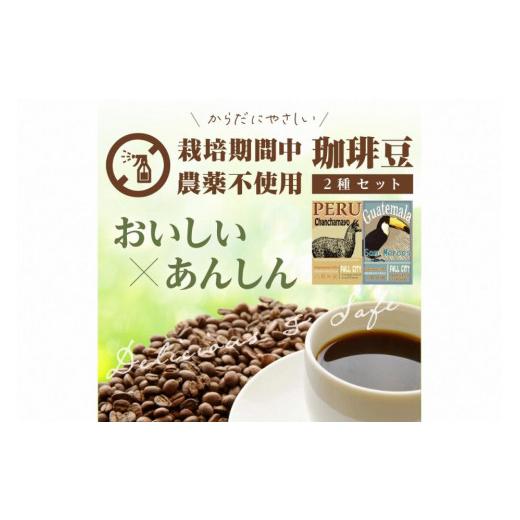 ふるさと納税 コーヒー コーヒー豆 京都府 京丹後市  栽培期間中農薬不使用 自家焙煎コーヒー豆　飲み比べセット（500g×2種） 豆の挽き方：粗挽き 約100杯分…_2