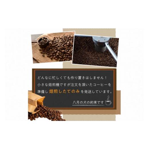 ふるさと納税 コーヒー コーヒー豆 京都府 京丹後市  栽培期間中農薬不使用 自家焙煎コーヒー豆　飲み比べセット（500g×2種） 豆の挽き方：細挽き 約100杯分…_6
