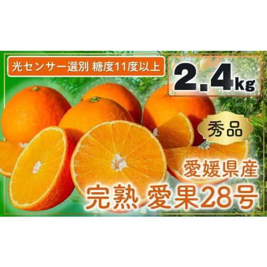 ふるさと納税 果物類 みかん 愛媛県 松山市 完熟 愛果28号 (紅まどんな と同品種) 秀品 2.4kg (8〜15個) 光センサー選別 糖度11度以上 2026年11月下旬頃から順…