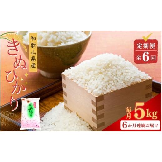 ふるさと納税 米 和歌山県 由良町 お米の定期便/全6回 和歌山県産 米 キヌヒカリ30kg (5kg×6回) 2025年産 sml-tkb001A
