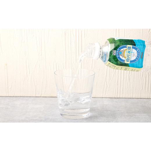 ふるさと納税 水・ミネラルウォーター 500mL〜999mL 熊本県 -  3か月連続定期便 日本名水百選ミネラルウォーター「南阿蘇・白川水源」500ml×24本入1ケース×3…_3