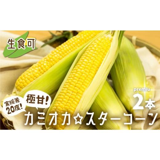 ふるさと納税 とうもろこし 岐阜県 飛騨市 [2026年 先行予約]令和7年産[期間・数量限定]まるでフルーツ 特別栽培トウモロコシ プレミアム 2本 激甘 極旨…