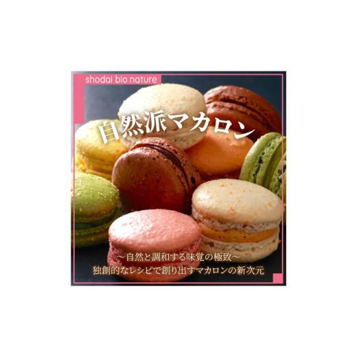 ふるさと納税 焼菓子・チョコレート マカロン 福岡県 福岡市 定期便 3回 毎月お届け グルテンフリー マカロン詰め合わせ10個入/10種類 カラフルで可愛らしい…