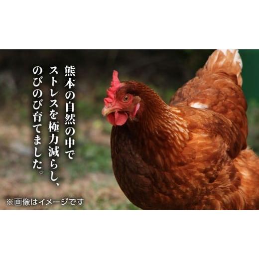 ふるさと納税 鶏肉 モモ 熊本県 山鹿市  6回定期便 熊本あか鶏 3種食べ比べセット（もも むね ささみ）各1kg やまうちフード株式会社 熊本営業所 特産品 九州…の画像