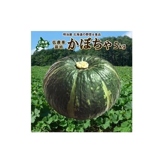 ふるさと納税 野菜類 北海道 ニセコ町 [早期予約・数量限定]北海道ニセコ町 かぼちゃ5kg 2026年産 3200602