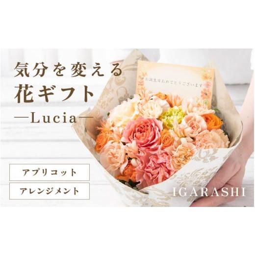 ふるさと納税 雑貨・日用品 花 福井県 あわら市 気分を変える花ギフト -Lucia- (アレンジメント・アプリコット) aw062-a002_05 アレンジメント・アプリコット