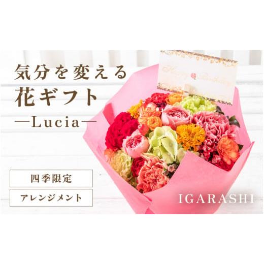 ふるさと納税 雑貨・日用品 花 福井県 あわら市 気分を変える花ギフト -Lucia- (アレンジメント・四季限定アイテム) aw062-a002_09 アレンジメント・四季限定…