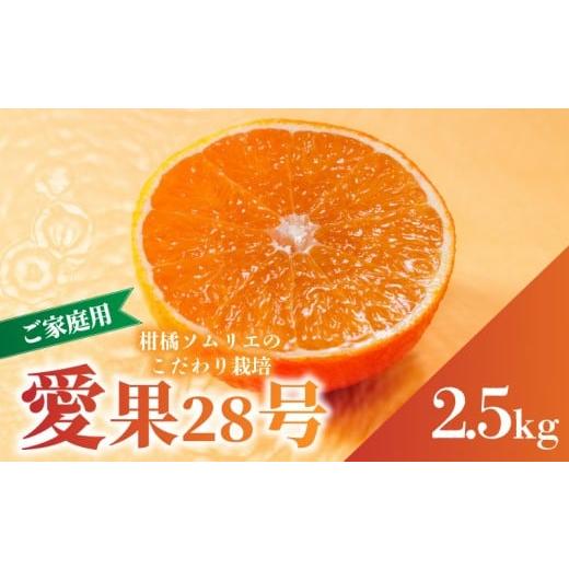 ふるさと納税 果物類 みかん 愛媛県 松山市 愛果28号 (紅まどんな と同品種) ご家庭用 2.5kg 順次発送中 | 訳あり 愛果 あいか みかん まどんな マドンナ ワケ…