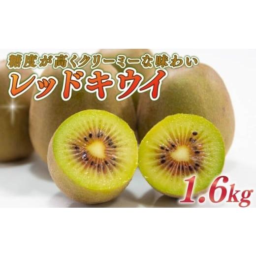 ふるさと納税 果物類 静岡県 牧之原市 キウイ 1.6kg フルーツ 果物 スイーツ レッドキウイ キウイ きうい 果実 果汁 くだもの きうい フルーツ スイーツ デザ…